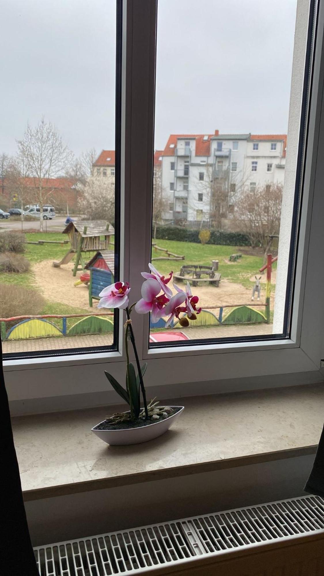 Fewo "Franzi" 5 Personen, Zentrale Lage, Parkplatz Dessau-Rosslau Екстер'єр фото